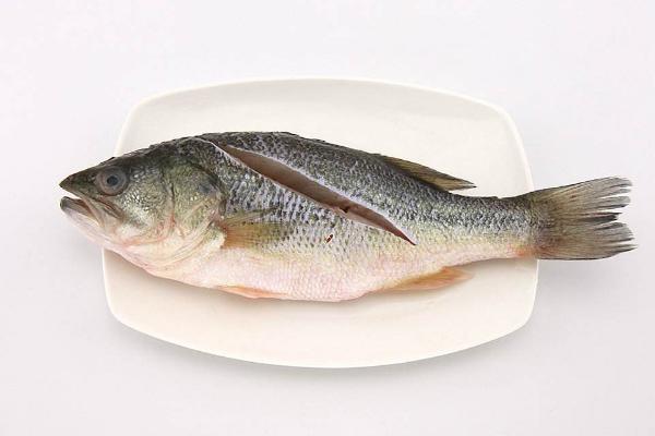 多寶魚和鱸魚哪個好 鱸魚好吃嗎