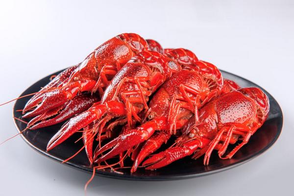 小龍蝦為什么這么火 小龍蝦是怎么流行起來的