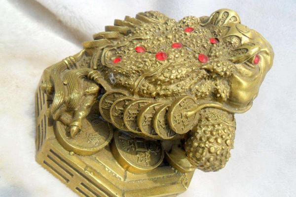 金蟾蜍怎么擺放（風水角度） 金蟾蜍有什么寓意