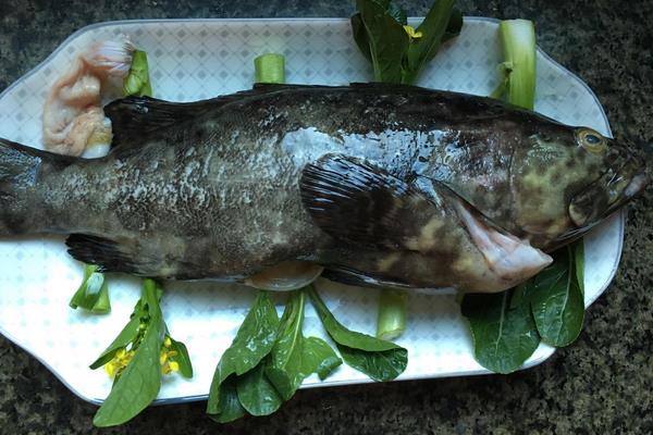 石斑魚怎么做好吃又簡單 石斑魚的家常做法大全
