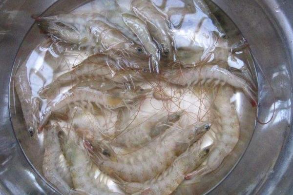 大蝦市場價格多少錢一斤 大蝦怎么做好吃又簡單