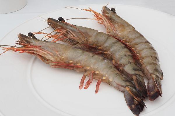 蝦要蒸多長時間 清蒸蝦仁的做法大全