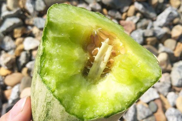 羊角蜜甜瓜功效與作用 羊角蜜甜瓜營養價值