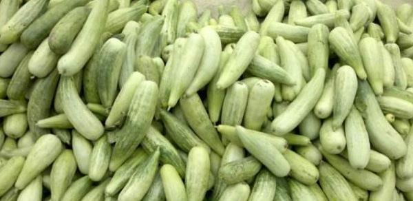 羊角蜜甜瓜功效與作用 羊角蜜甜瓜營養價值