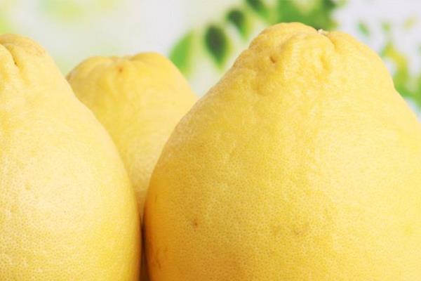 柚子有哪些品種 常見柚子品種的特點