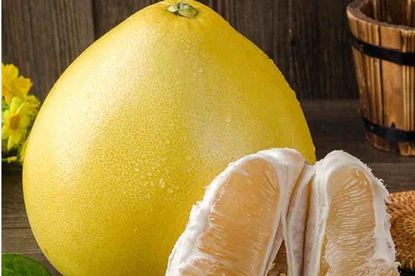 柚子有哪些品種 常見柚子品種的特點(diǎn)