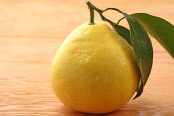 柚子有哪些品種 常見柚子品種的特點(diǎn)