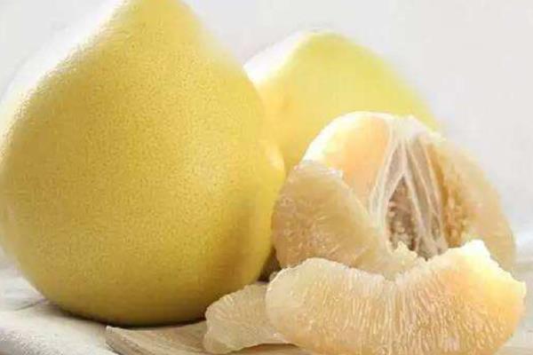 柚子有哪些品種 常見柚子品種的特點(diǎn)