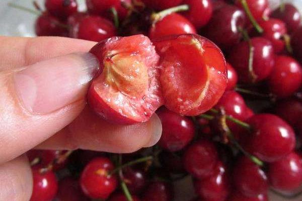 櫻桃的核有毒嗎 誤吞櫻桃核怎么辦