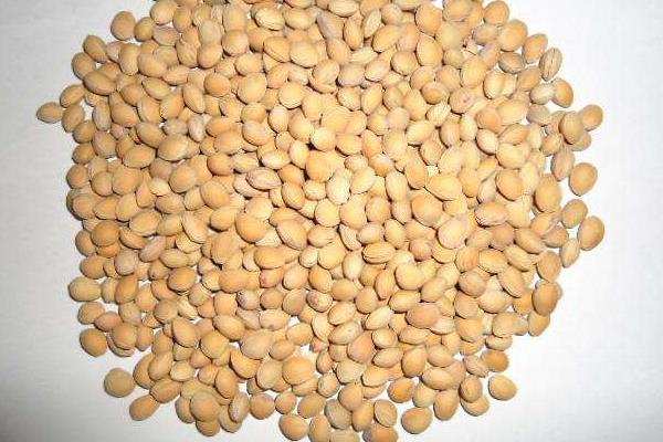 櫻桃的核有毒嗎 誤吞櫻桃核怎么辦