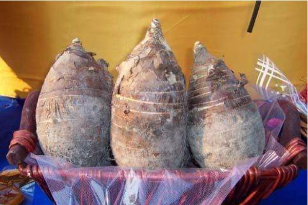 香芋削皮后怎么保存 香芋可以切片冷凍嗎