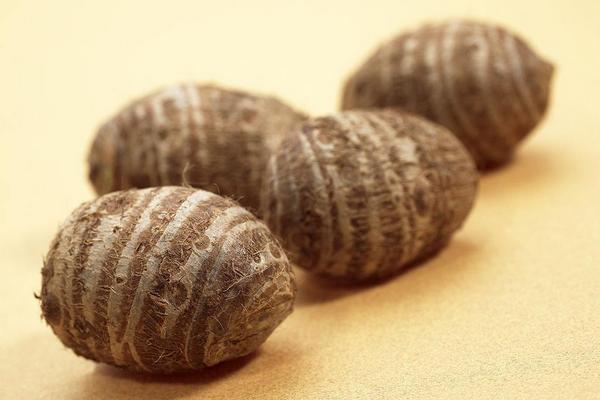 芋艿是什么 芋艿熱量是多少 芋艿過敏怎么辦