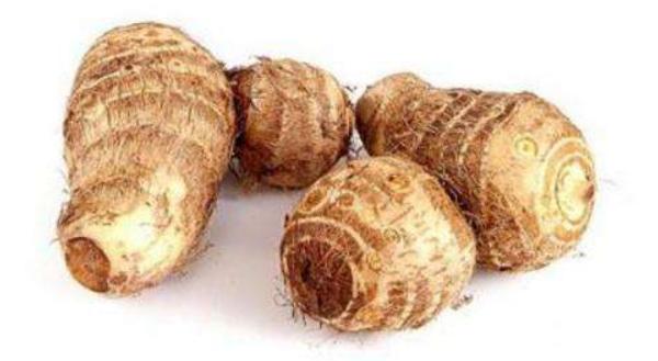 滴水觀音和芋頭的區(qū)別是什么 大芋頭和小芋頭的區(qū)別是什么