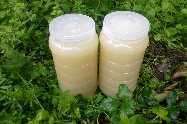 油菜花蜂蜜的作用與功效及禁忌 油菜花蜂蜜市場價格多少錢一斤