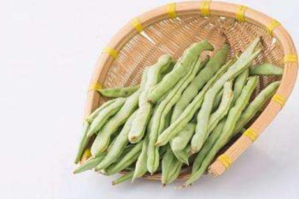 蕓豆角功效與作用及禁忌 蕓豆角營養(yǎng)價(jià)值