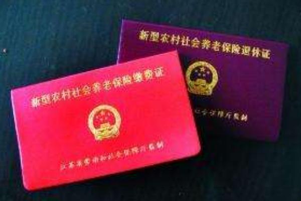 農村養老保險怎么交(網上) 農村養老保險怎么查