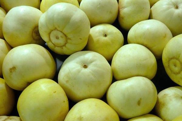 香瓜能放冰箱保鮮嗎 怎么判斷香瓜熟了