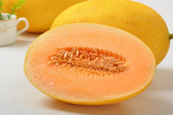 哈密瓜與什么食物相克 拉肚子可以吃哈密瓜嗎