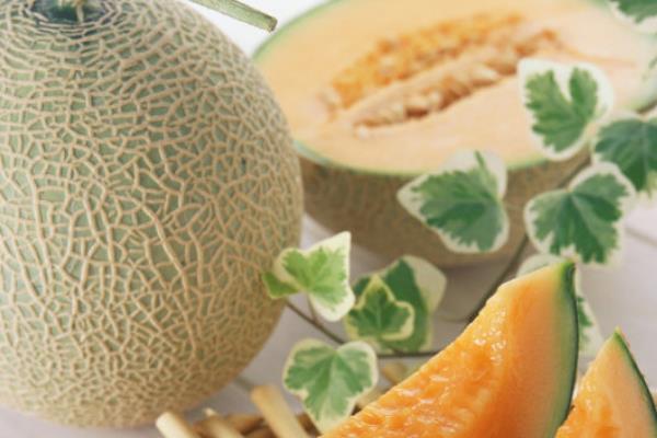 哈密瓜皮能吃嗎 哈密瓜皮的功效與作用