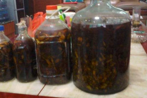 拐棗酒的功效與作用 拐棗酒的制作方法