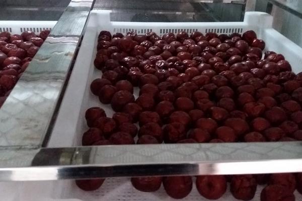 紅棗烘干機市場價格多少錢一臺 紅棗烘干機原理