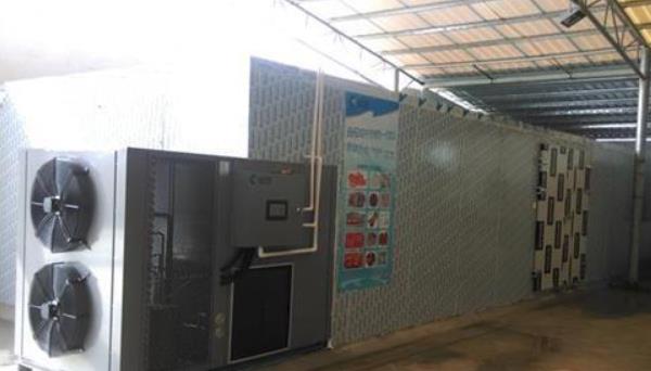 紅棗烘干機市場價格多少錢一臺 紅棗烘干機原理