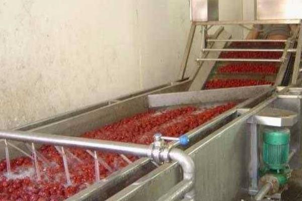 紅棗烘干機市場價格多少錢一臺 紅棗烘干機原理