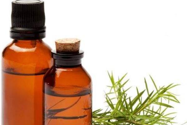 檸檬草精油的功效與作用及禁忌 檸檬草精油的使用方法