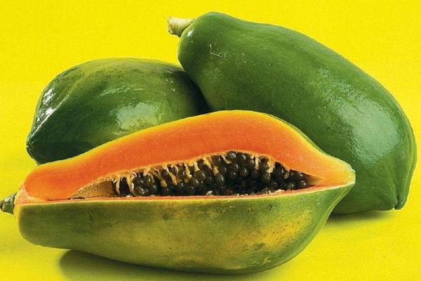 木瓜和蝦可以一起吃嗎 木瓜和酸奶能一起吃嗎