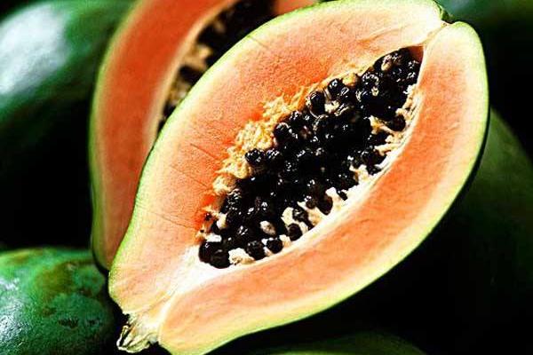 青木瓜可以吃嗎 青木瓜怎么吃最好