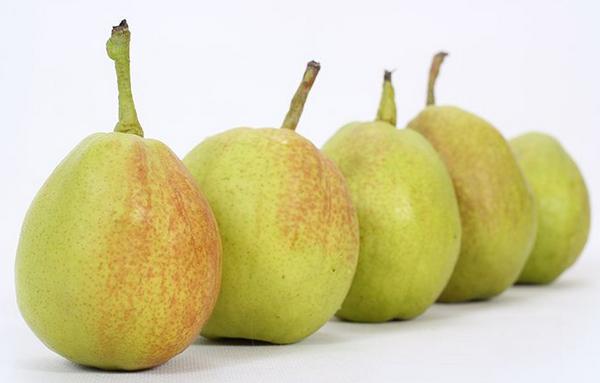 青梨的功效與作用 孕婦可以吃青梨嗎