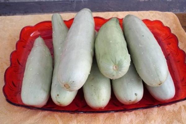 羊角蜜甜瓜是涼性的嗎 羊角蜜甜瓜孕婦能吃嗎