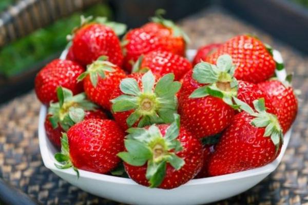 孕婦可以吃甜瓜嗎(對胎兒好嗎) 來月經能吃甜瓜嗎