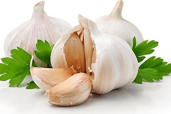 像大蒜一樣的水果是什么 美國大蒜是什么水果