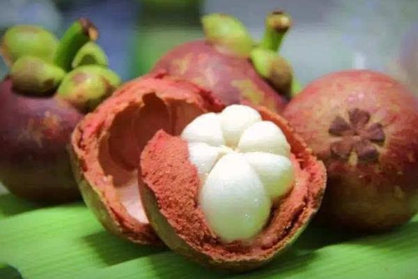 像大蒜一樣的水果是什么 美國(guó)大蒜是什么水果