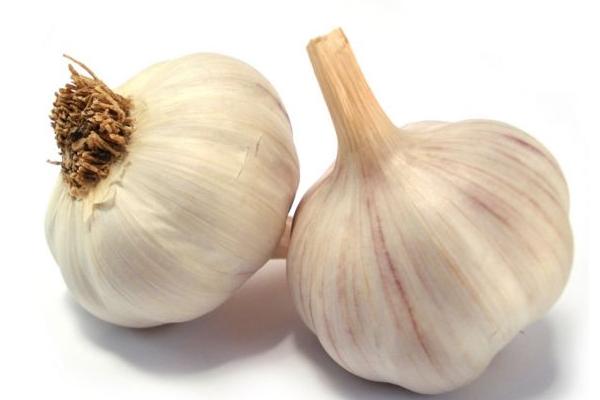 大蒜能釣魚嗎 大蒜釣魚效果好不好