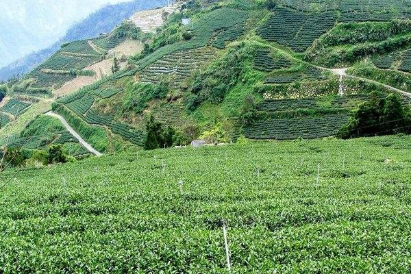 山地農(nóng)業(yè)現(xiàn)代化是什么 山地農(nóng)業(yè)有什么優(yōu)勢和特點(diǎn)