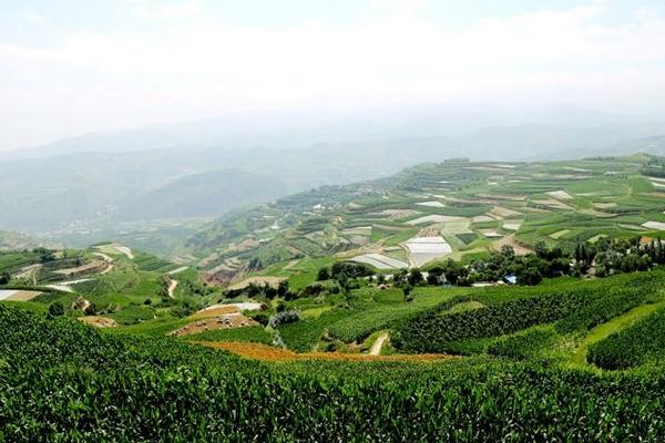 山地農(nóng)業(yè)現(xiàn)代化是什么 山地農(nóng)業(yè)有什么優(yōu)勢和特點(diǎn)