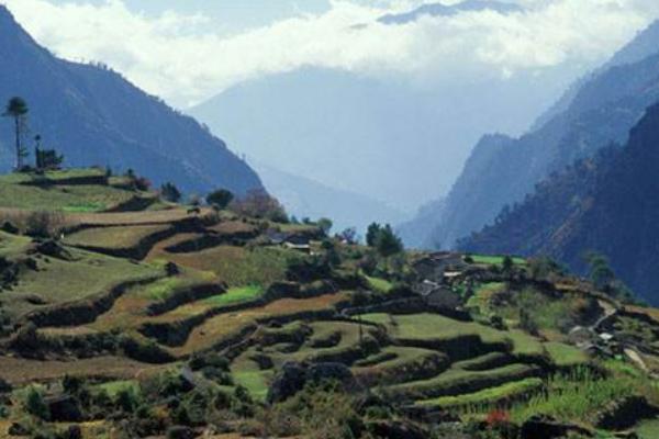 山地農(nóng)業(yè)現(xiàn)代化是什么 山地農(nóng)業(yè)有什么優(yōu)勢和特點(diǎn)