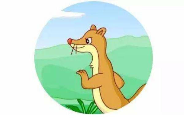 夢見黃鼠狼是什么意思 女人夢到黃鼠狼撲向自己有什么預兆