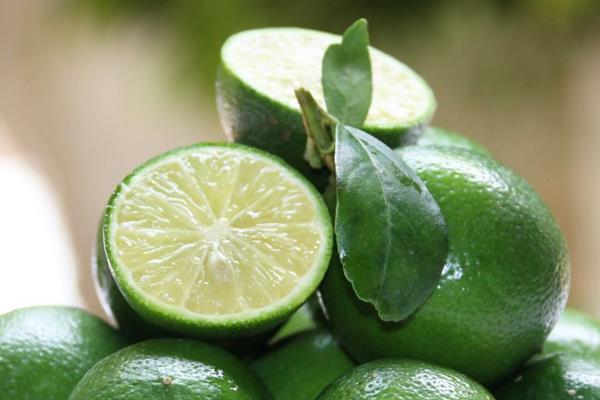 青檸檬市場價格多少錢一斤 青檸檬變黃了還能吃嗎