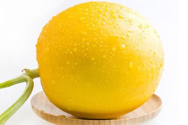 伊麗莎白瓜怎么挑選 伊麗莎白瓜為什么發(fā)苦