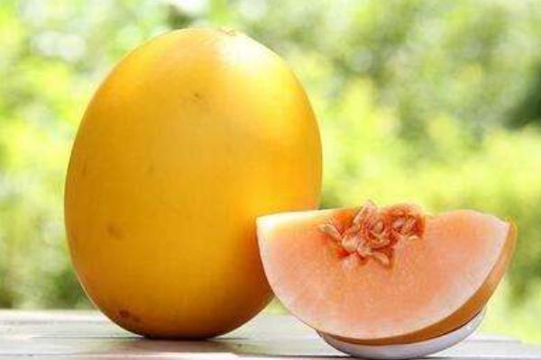 伊麗莎白瓜怎么挑選 伊麗莎白瓜為什么發(fā)苦