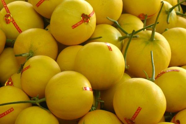 伊麗莎白瓜熱量有多少 伊麗莎白瓜是熱性的還是涼性的