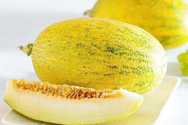 黃皮哈密瓜叫什么名字 黃皮哈密瓜怎么挑選