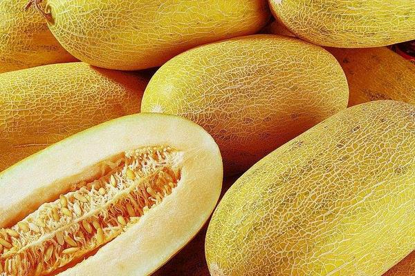 黃皮哈密瓜叫什么名字 黃皮哈密瓜怎么挑選