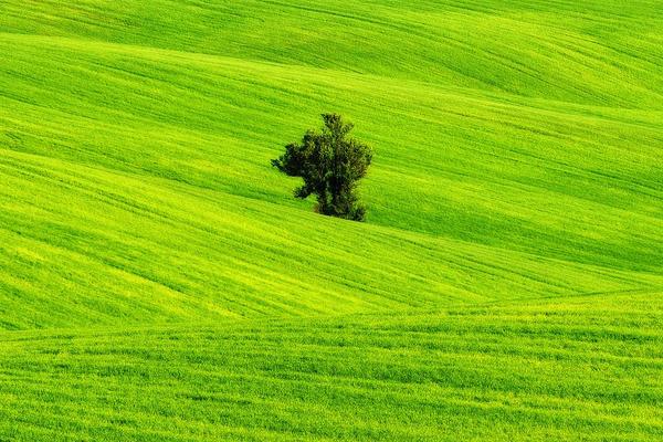 有關(guān)農(nóng)業(yè)的諺語有哪些 農(nóng)業(yè)諺語大全