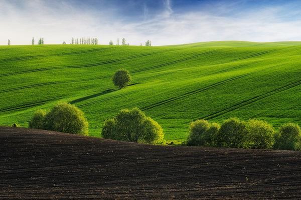 有關(guān)農(nóng)業(yè)的諺語有哪些 農(nóng)業(yè)諺語大全