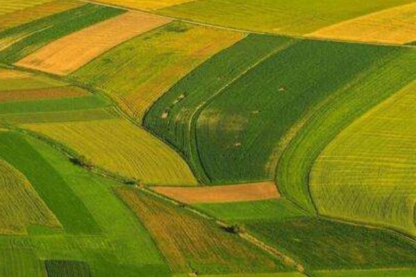 有關(guān)農(nóng)業(yè)的諺語有哪些 農(nóng)業(yè)諺語大全