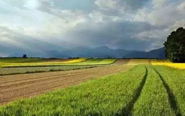 有關(guān)農(nóng)業(yè)的諺語有哪些 農(nóng)業(yè)諺語大全